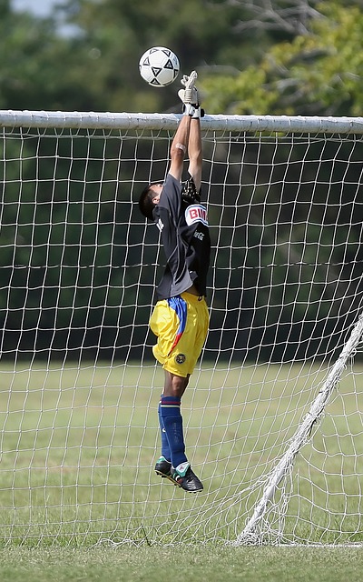 作为重庆代 作为重庆代