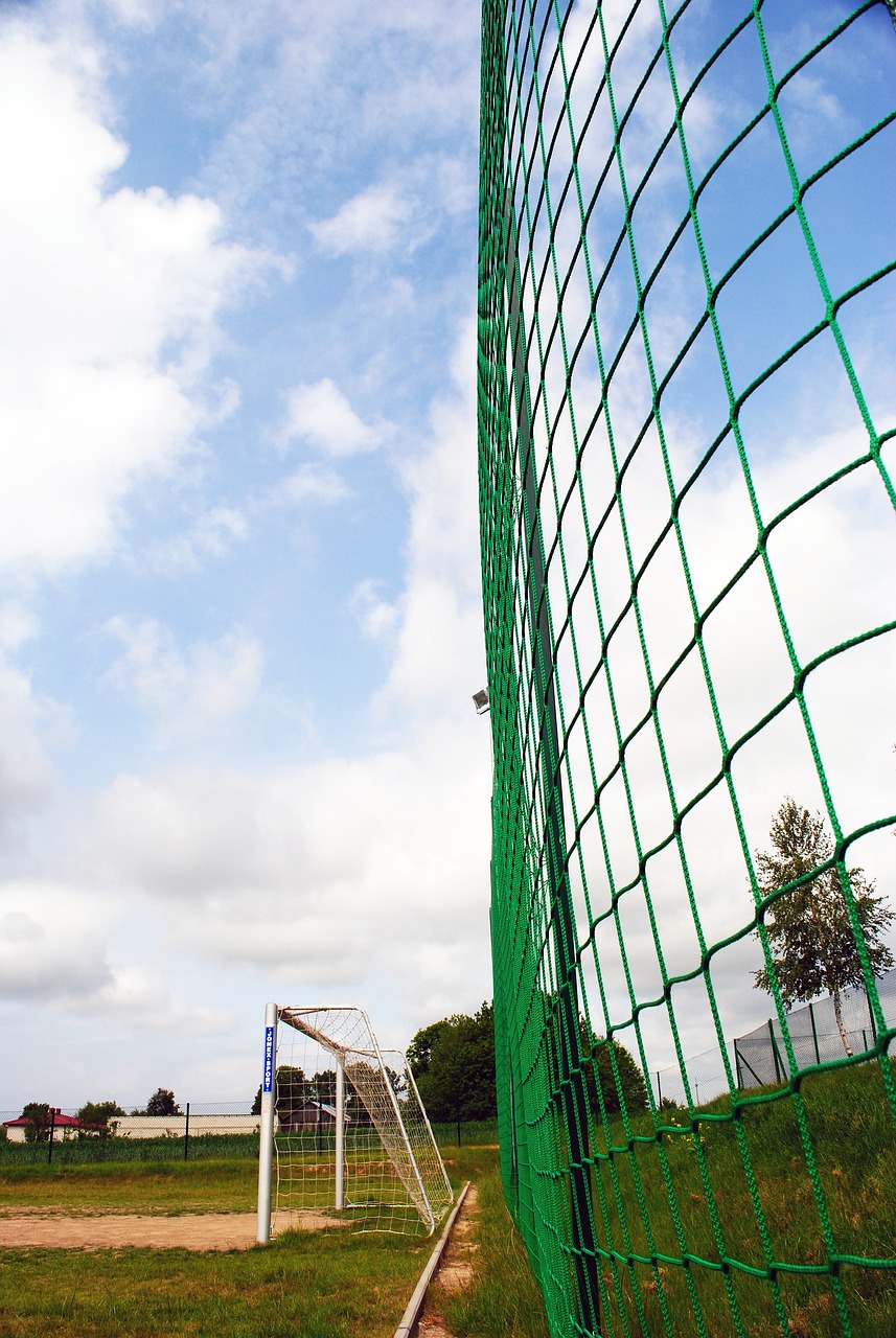 未来的比赛 未来的比赛