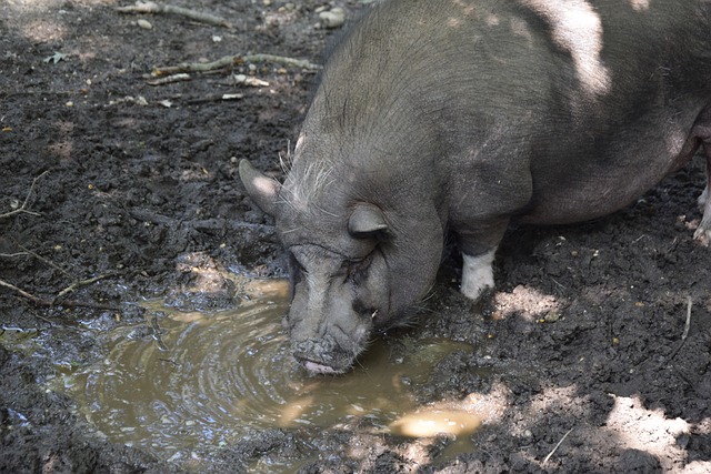 激烈的篮球 激烈的篮球