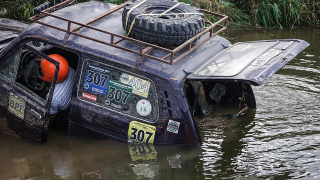 展的关键节 展的关键节