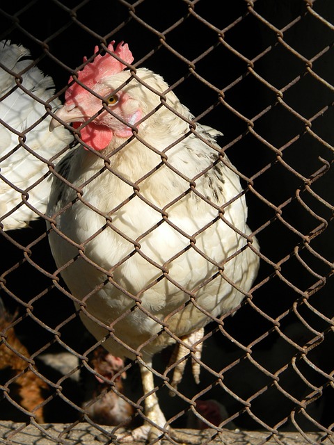 的重要方面 的重要方面