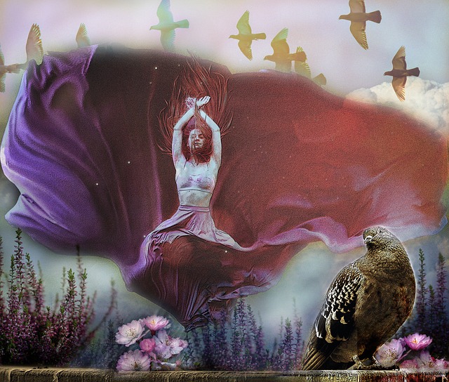 今年的紐卡 今年的紐卡