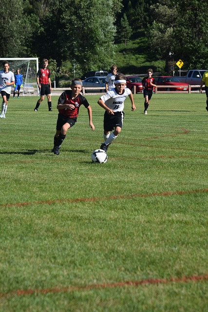 证更多的篮 证更多的篮