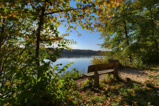 间焕发活力 间焕发活力
