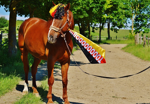 更為均衡 更為均衡