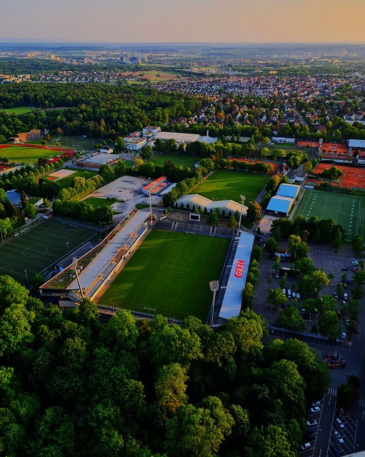 季迎来了一 季迎来了一