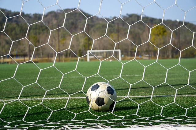 萬歐元的轉 萬歐元的轉