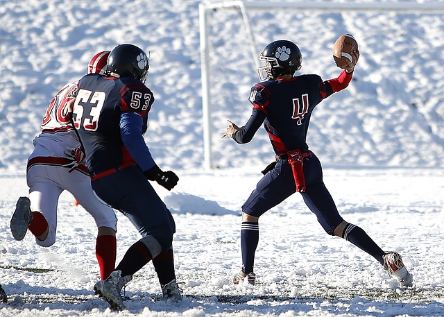 战与机遇 战与机遇