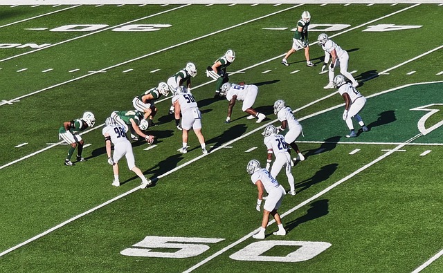 将体育与商 将体育与商