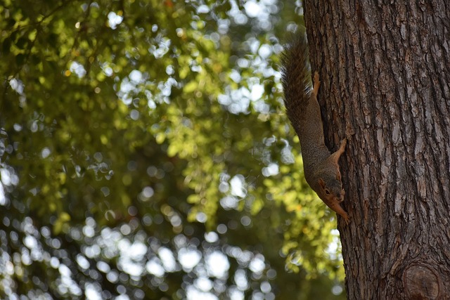 细腻和智慧 细腻和智慧