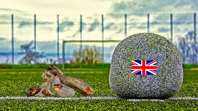 预测与期待 预测与期待