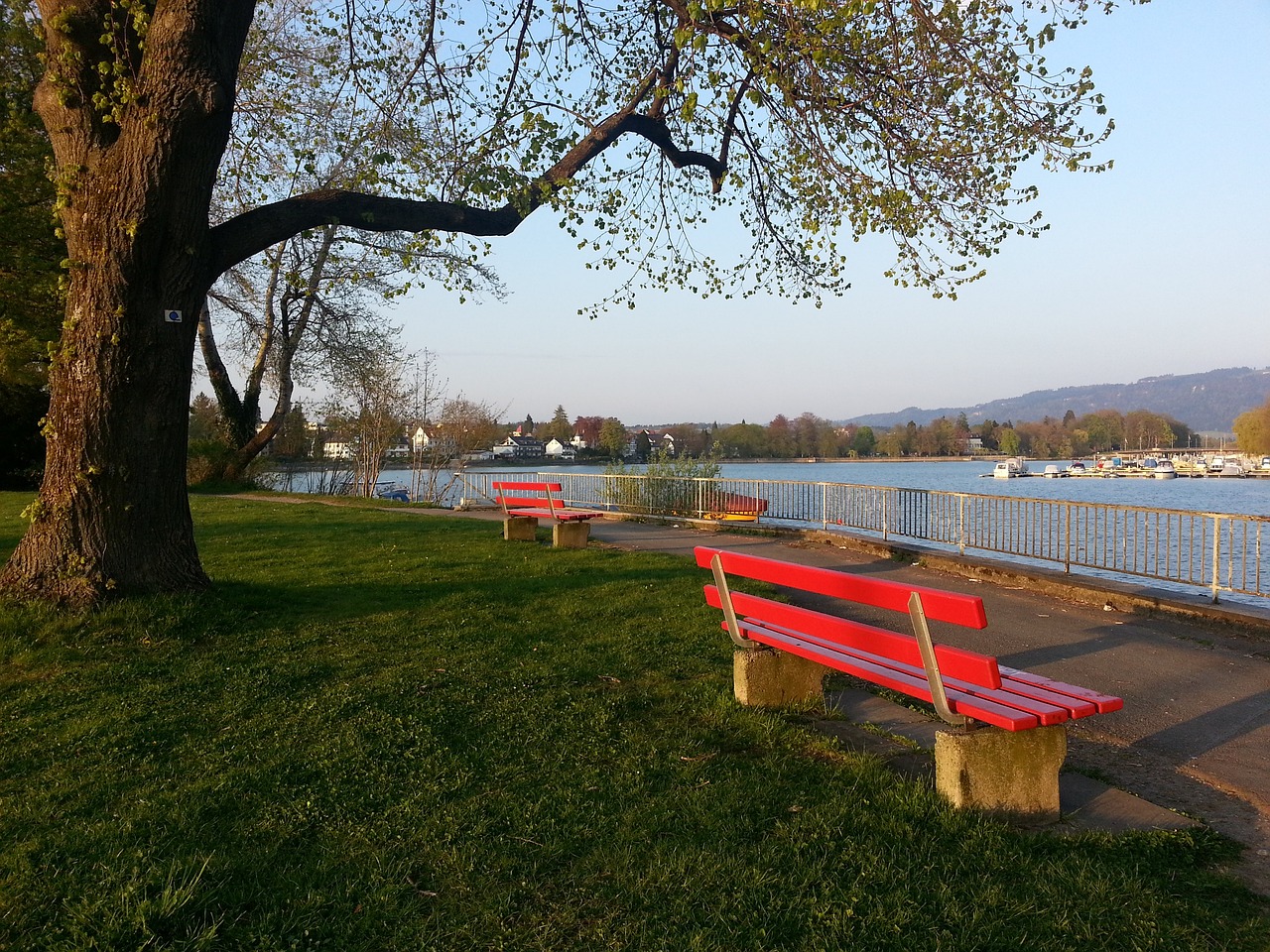 抱有疑慮 抱有疑慮